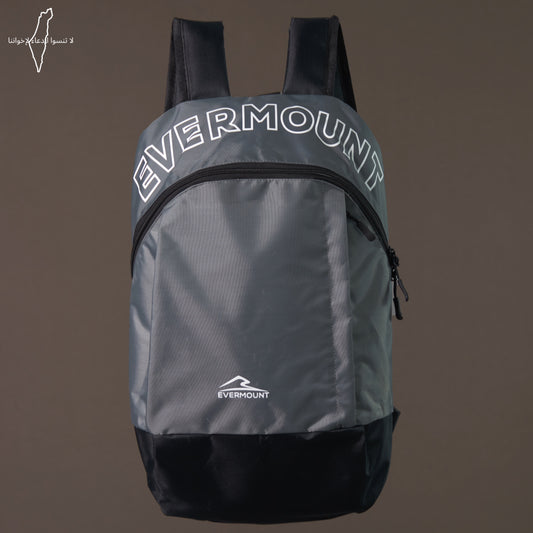 Evermount EasyCarry (Gray)